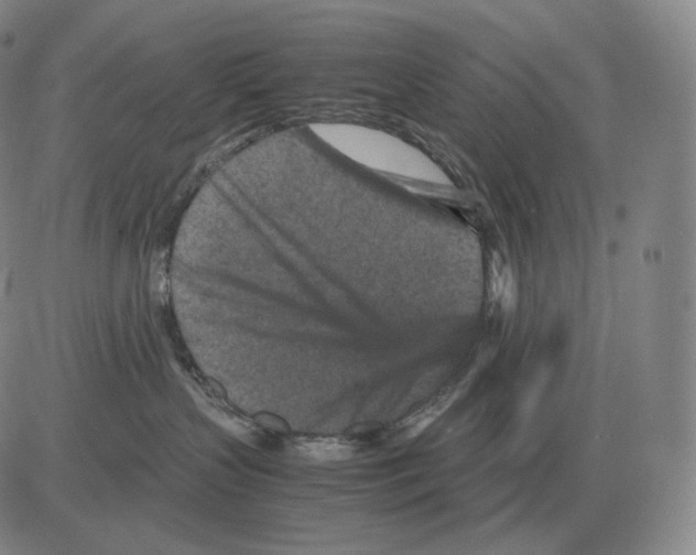 X0000082750383200702240045