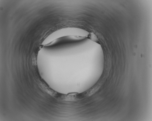 X0000082750384200702240045