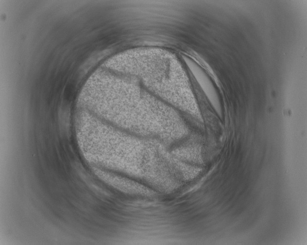 X0000082750386200702240044