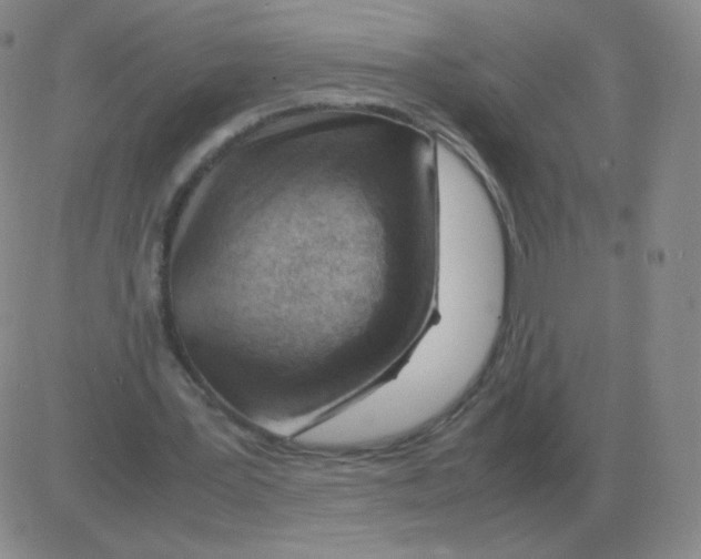 X0000082750387200702240044