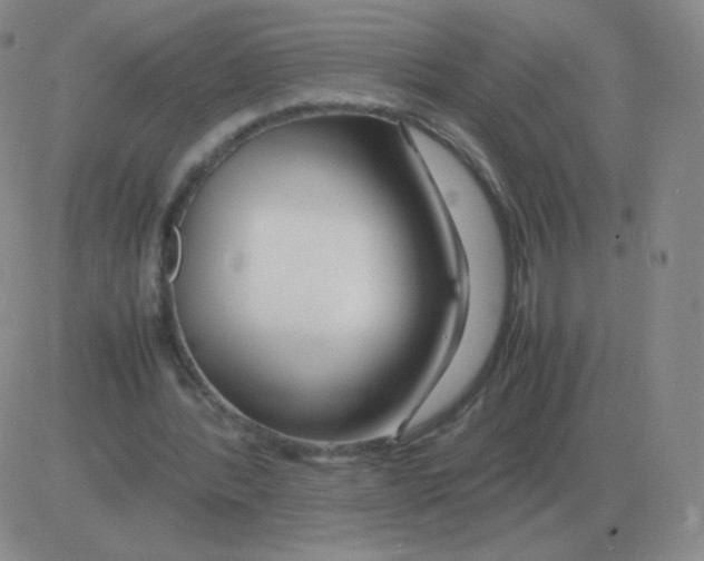 X0000082750388200702240044