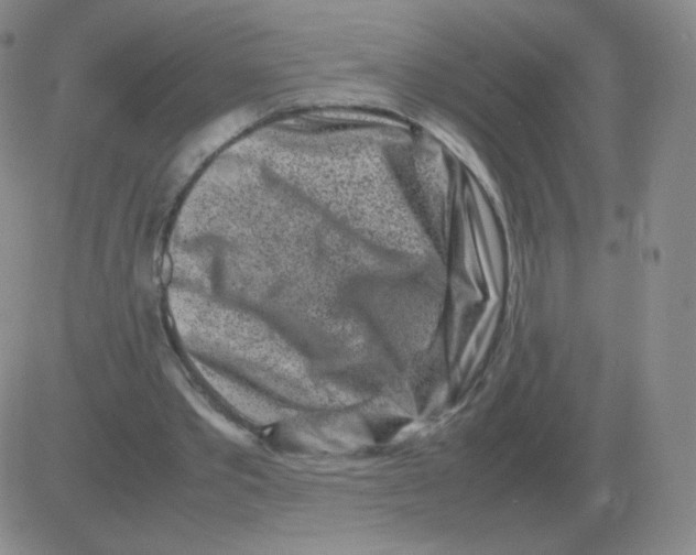 X0000082750389200702240044