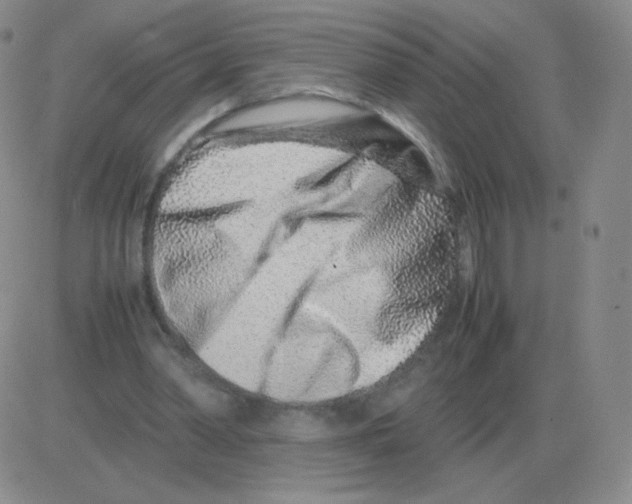 X0000082750390200702240044