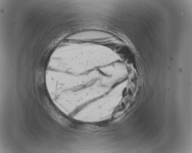 X0000082750393200702240044