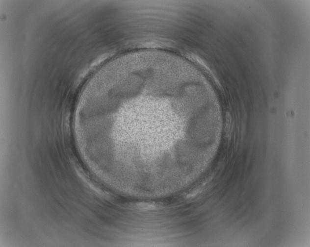 X0000082750394200702240044