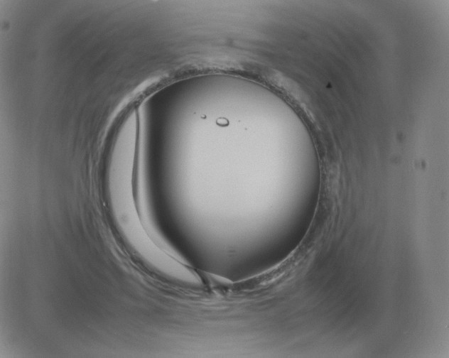 X0000082750395200702240044