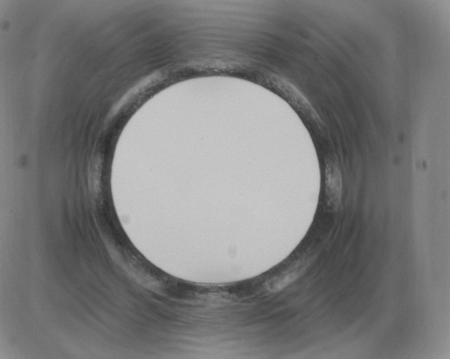 X0000082750396200702240044