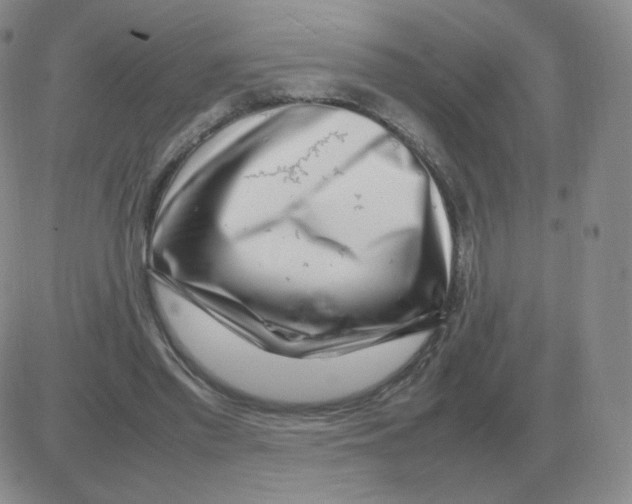 X0000082750397200702240044