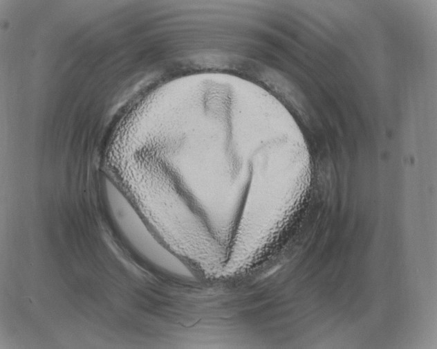 X0000082750398200702240044