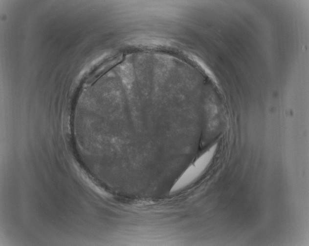 X0000082750399200702240044