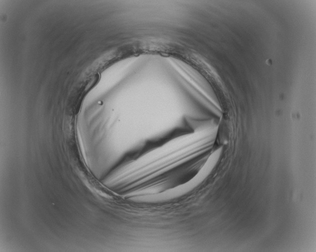 X0000082750401200702240044