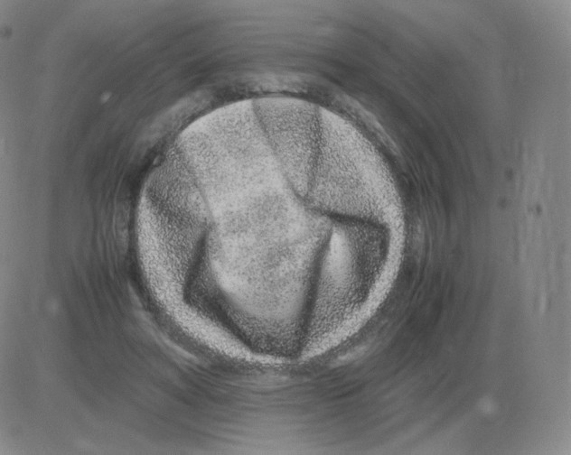 X0000082750402200702240044