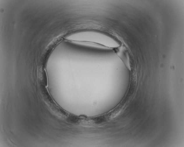 X0000082750403200702240044