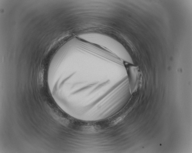 X0000082750404200702240044