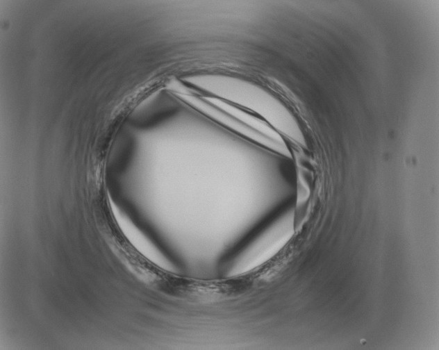 X0000082750405200702240044