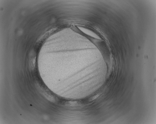 X0000082750406200702240044