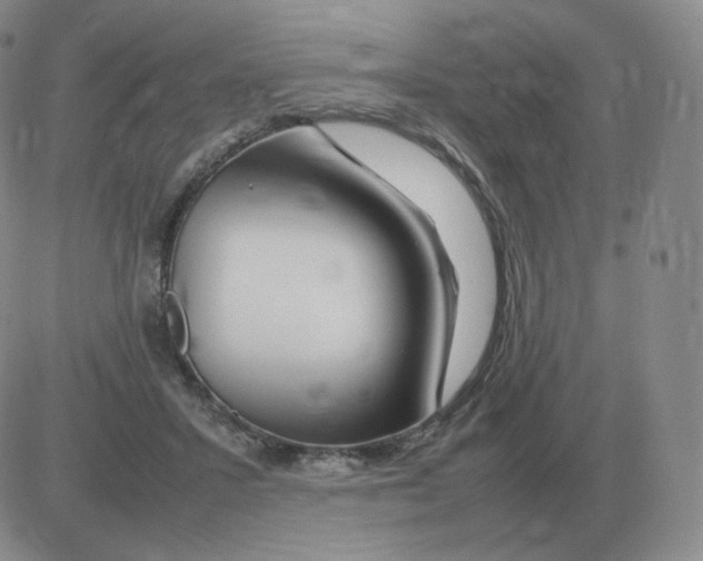 X0000082750407200702240044