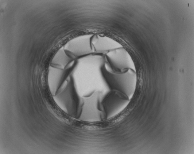 X0000082750408200702240044