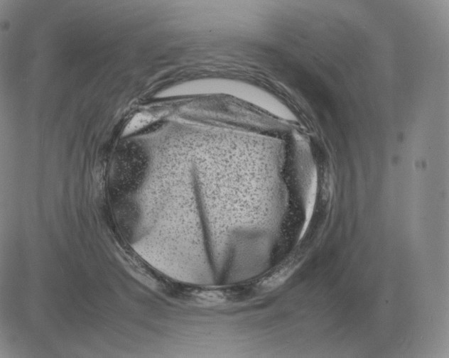 X0000082750409200702240044