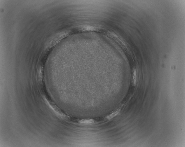 X0000082750410200702240044