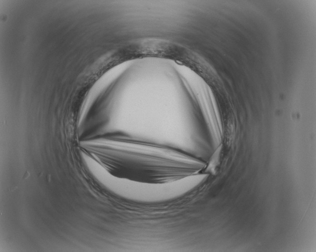 X0000082750413200702240043