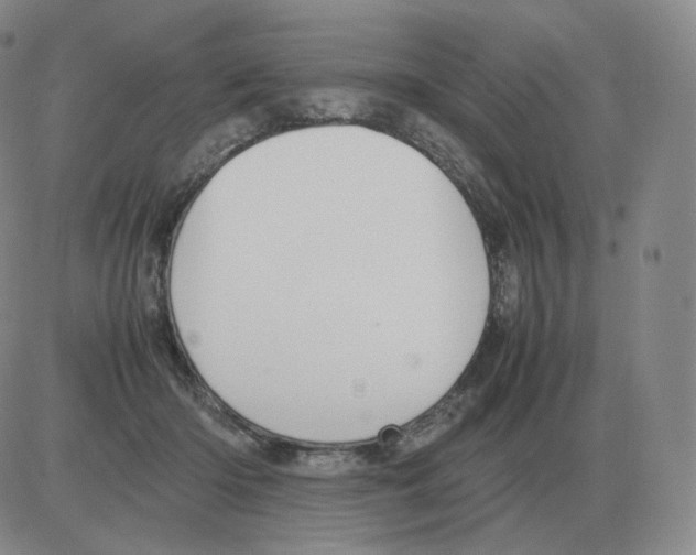 X0000082750414200702240043