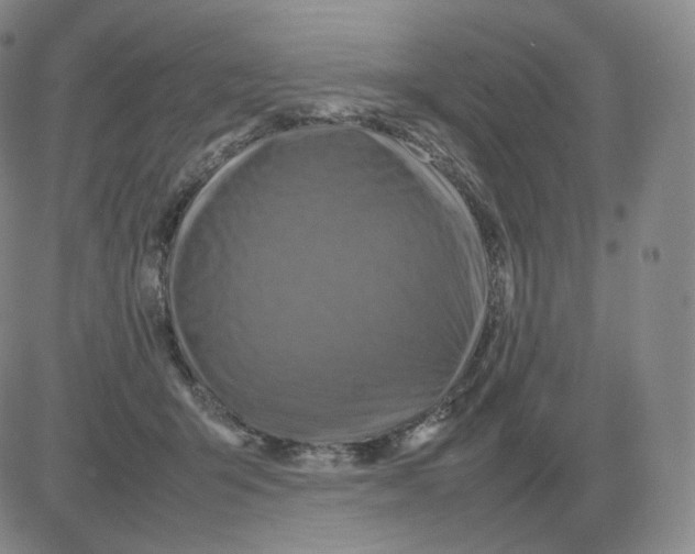 X0000082750415200702240043