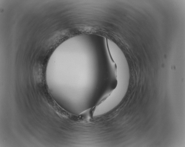 X0000082750416200702240043