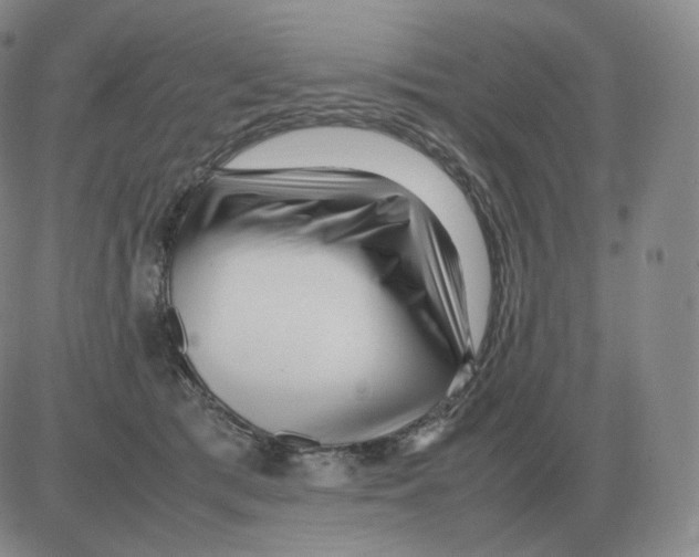 X0000082750417200702240043