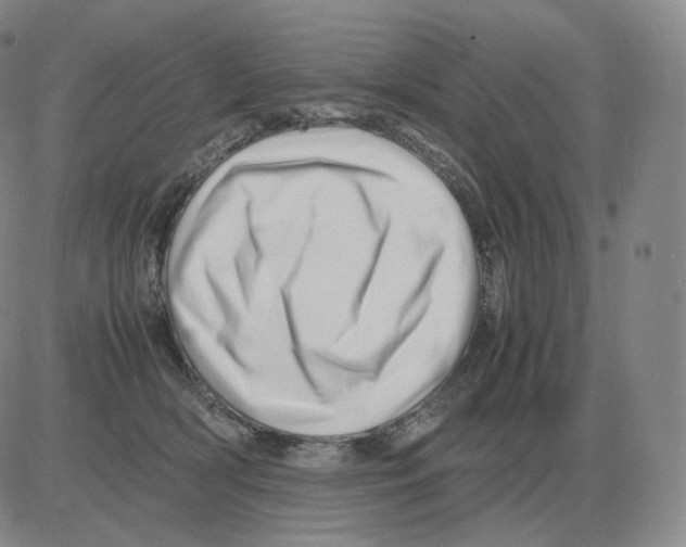 X0000082750418200702240043