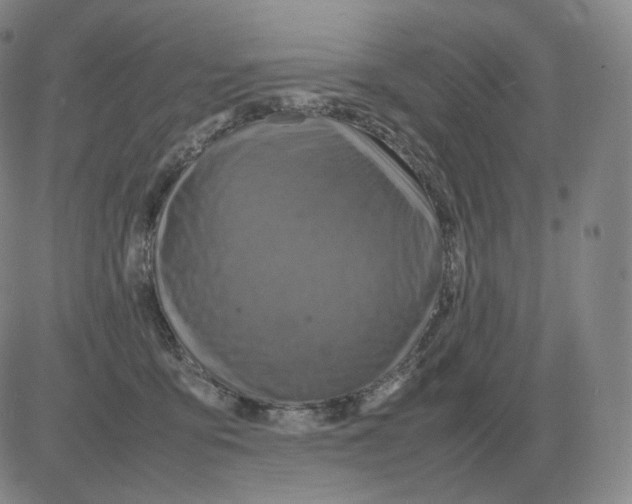 X0000082750419200702240043