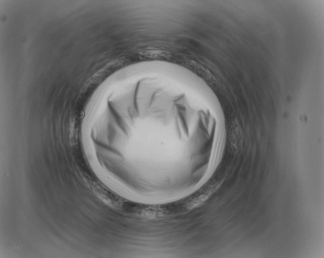 X0000082750420200702240043