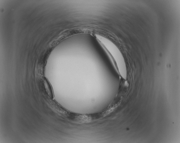 X0000082750421200702240043