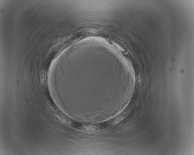 X0000082750423200702240043