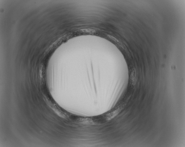 X0000082750424200702240043