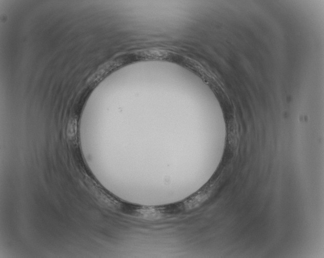 X0000082750425200702240043