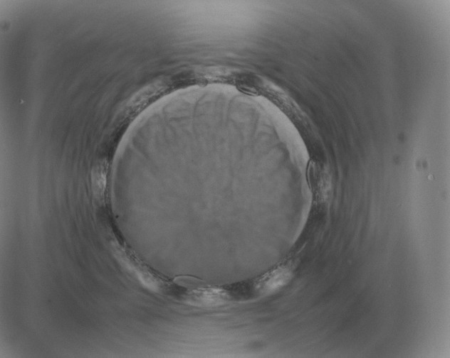 X0000082750427200702240043