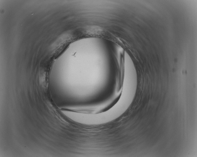 X0000082750428200702240043