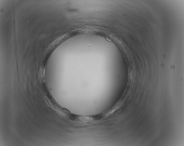 X0000082750429200702240043