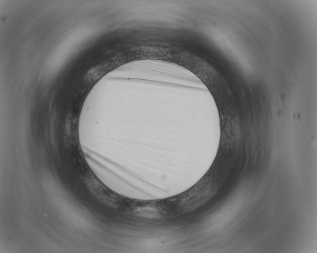 X0000082750430200702240043