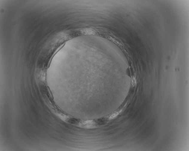 X0000082750431200702240043