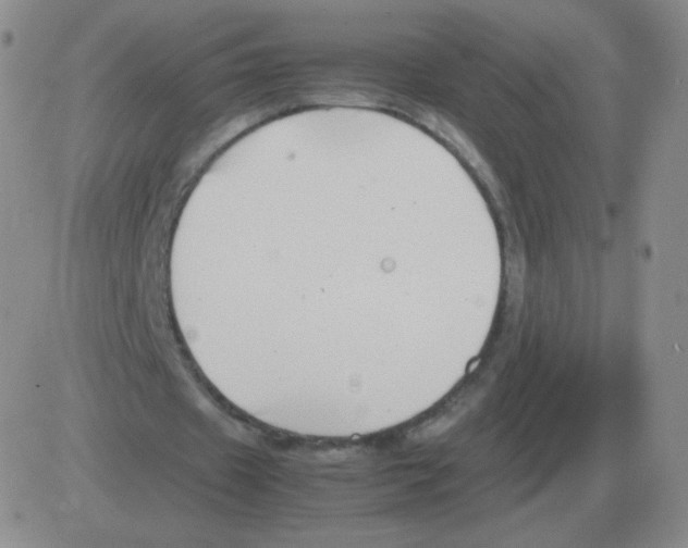 X0000082750433200702240042