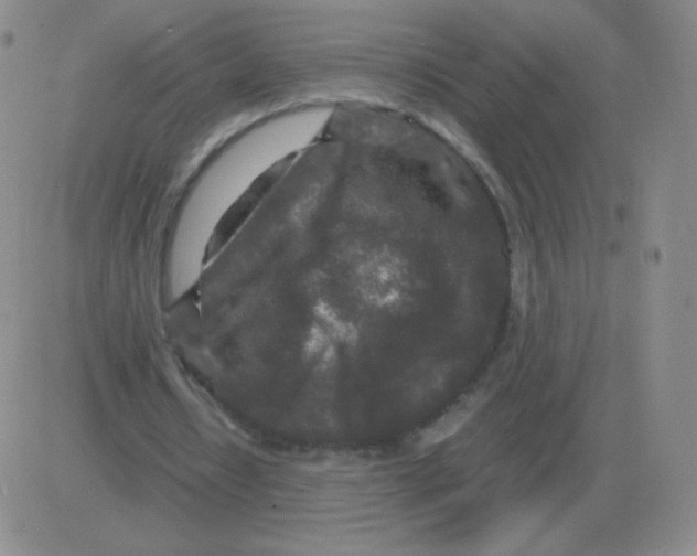 X0000082750434200702240042