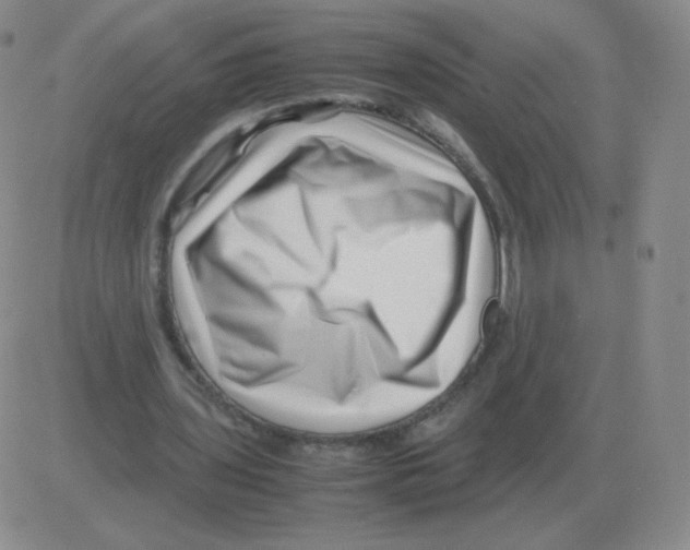 X0000082750435200702240042