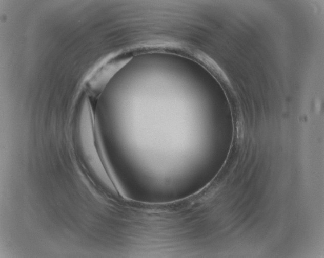 X0000082750436200702240042