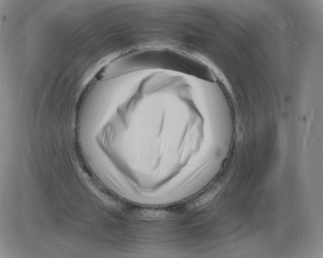 X0000082750437200702240042