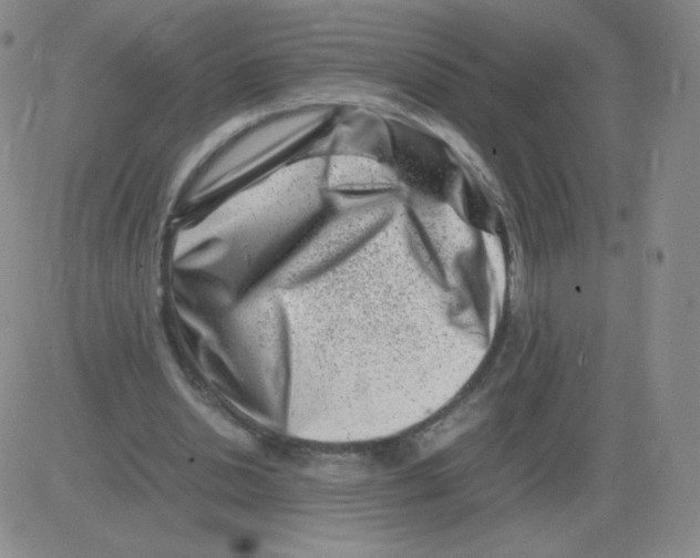 X0000082750438200702240042