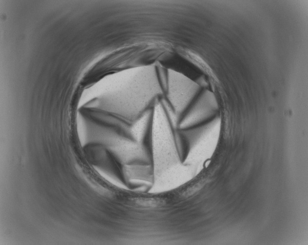 X0000082750439200702240042