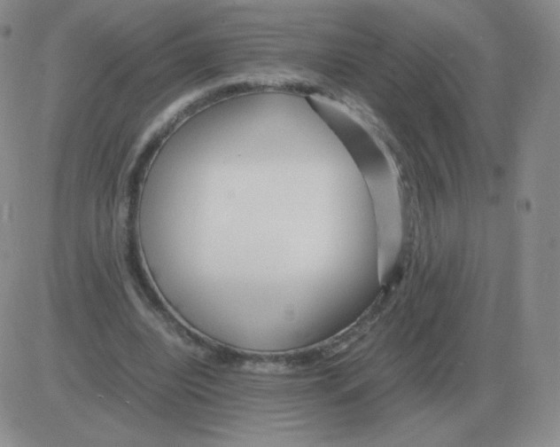 X0000082750440200702240042