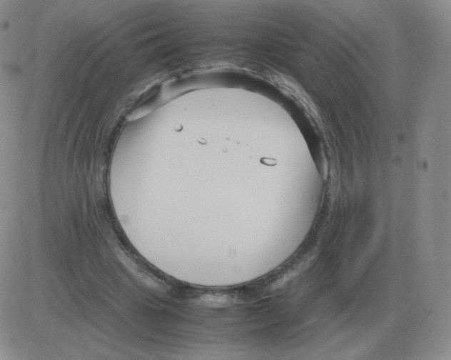 X0000082750441200702240042